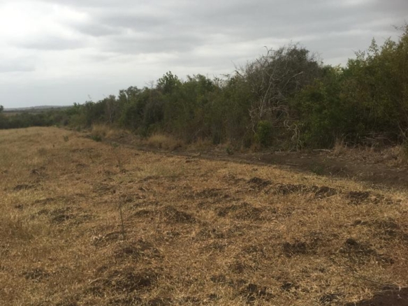 5 Acres for sale in Marereni