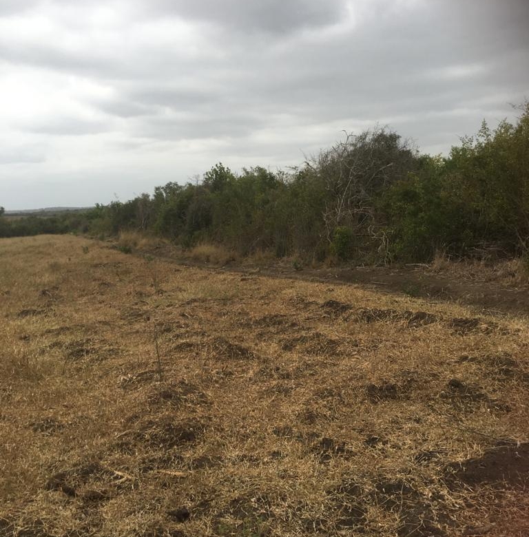 5 Acres for sale in Marereni