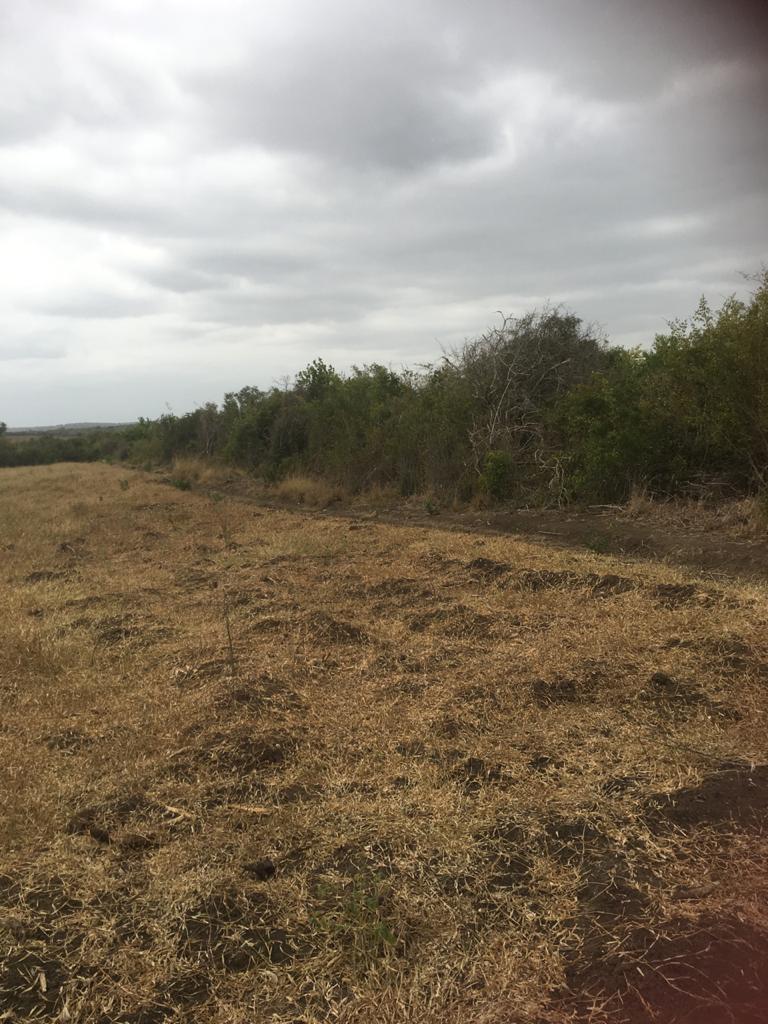 5 Acres for sale in Marereni