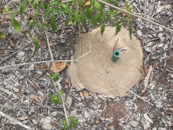 5 Acres for sale in Marereni