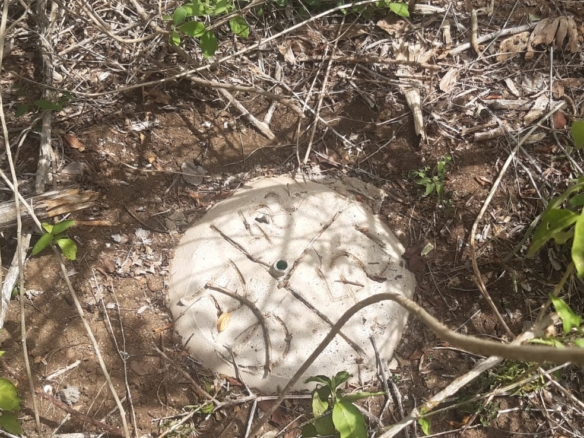 5 Acres for sale in Marereni