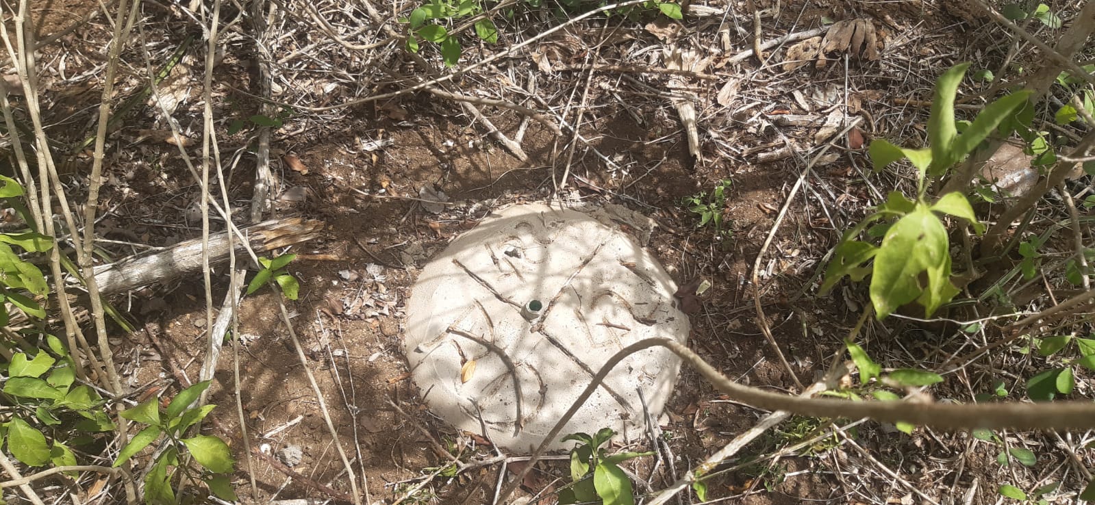 5 Acres for sale in Marereni