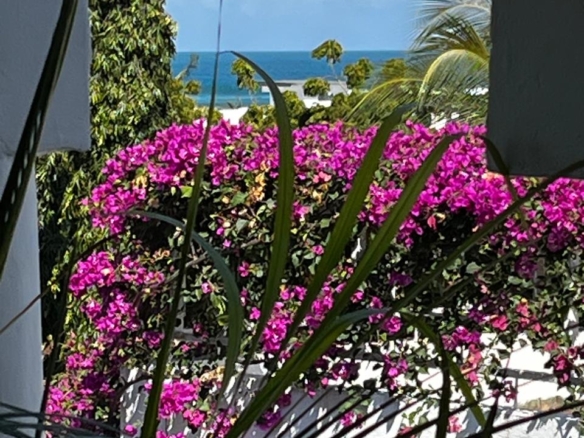 Luxury penthouse studio with private jacuzzi for short-term rental at Beverly Suites, Silversands Road, 100 meters from the beach.