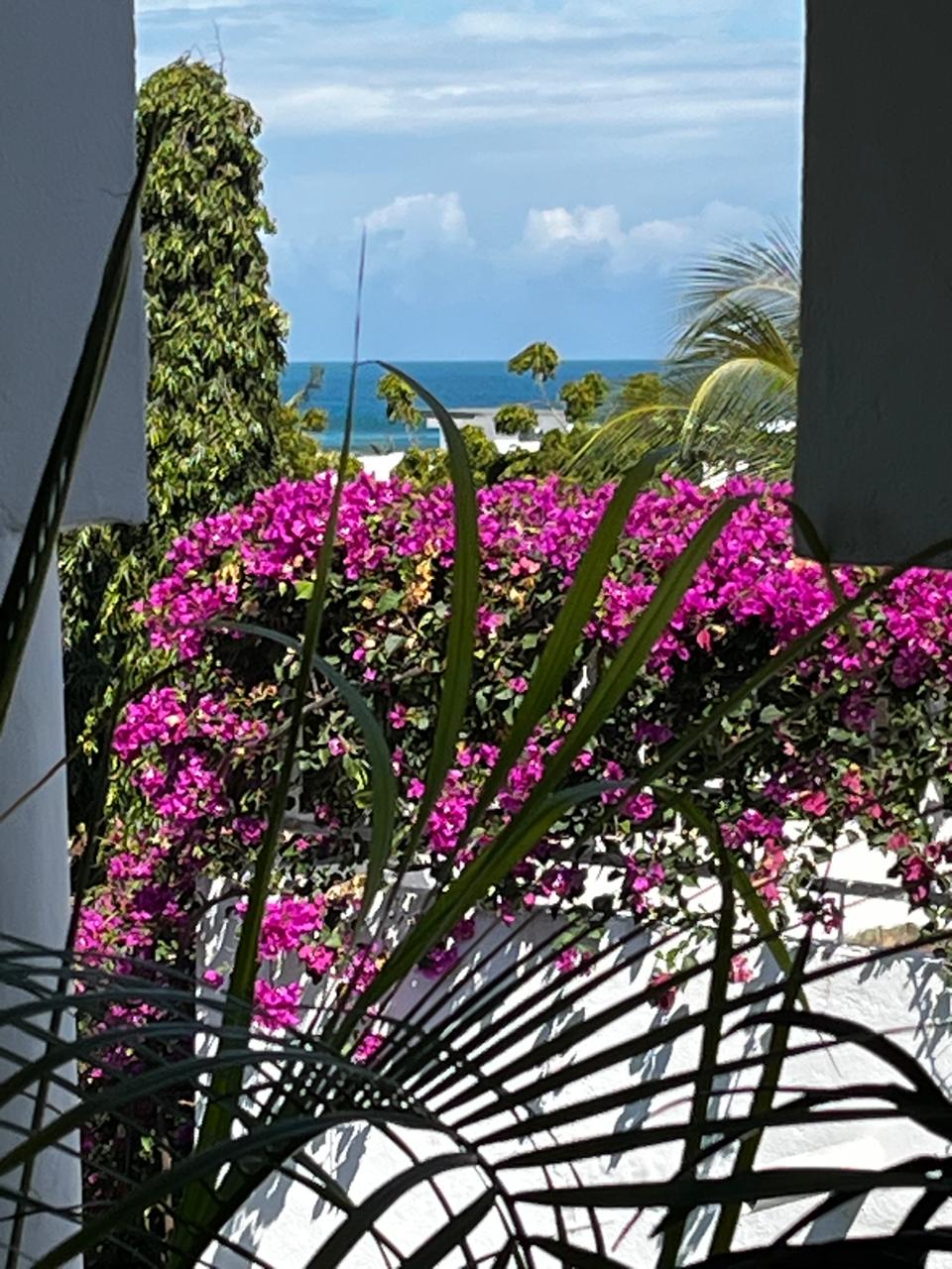 Luxury penthouse studio with private jacuzzi for short-term rental at Beverly Suites, Silversands Road, 100 meters from the beach.