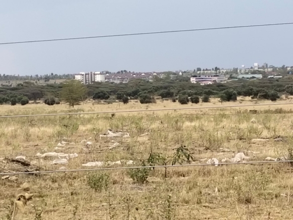100-acre development land for sale in Kitengela Acacia suitable for residential, commercial, or institutional projects.100-acre development land for sale in Kitengela Acacia suitable for residential, commercial, or institutional projects.