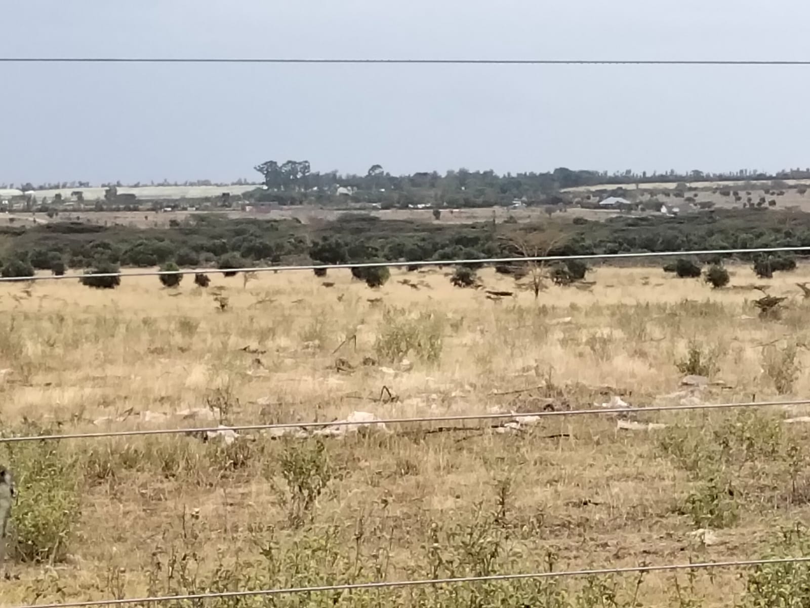 100-acre development land for sale in Kitengela Acacia suitable for residential, commercial, or institutional projects.