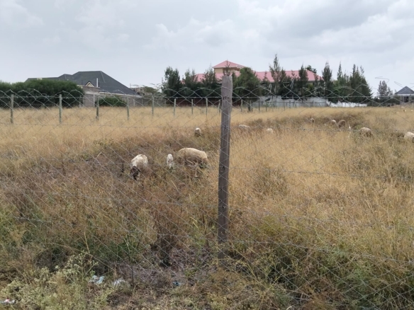 100-acre development land for sale in Kitengela Acacia suitable for residential, commercial, or institutional projects.