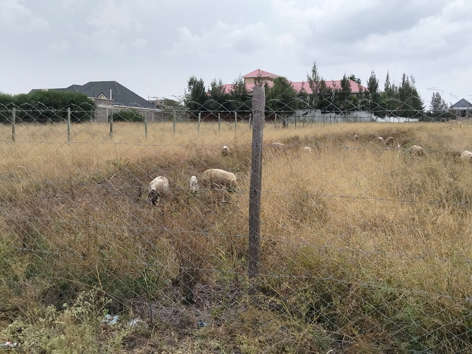 100-acre development land for sale in Kitengela Acacia suitable for residential, commercial, or institutional projects.