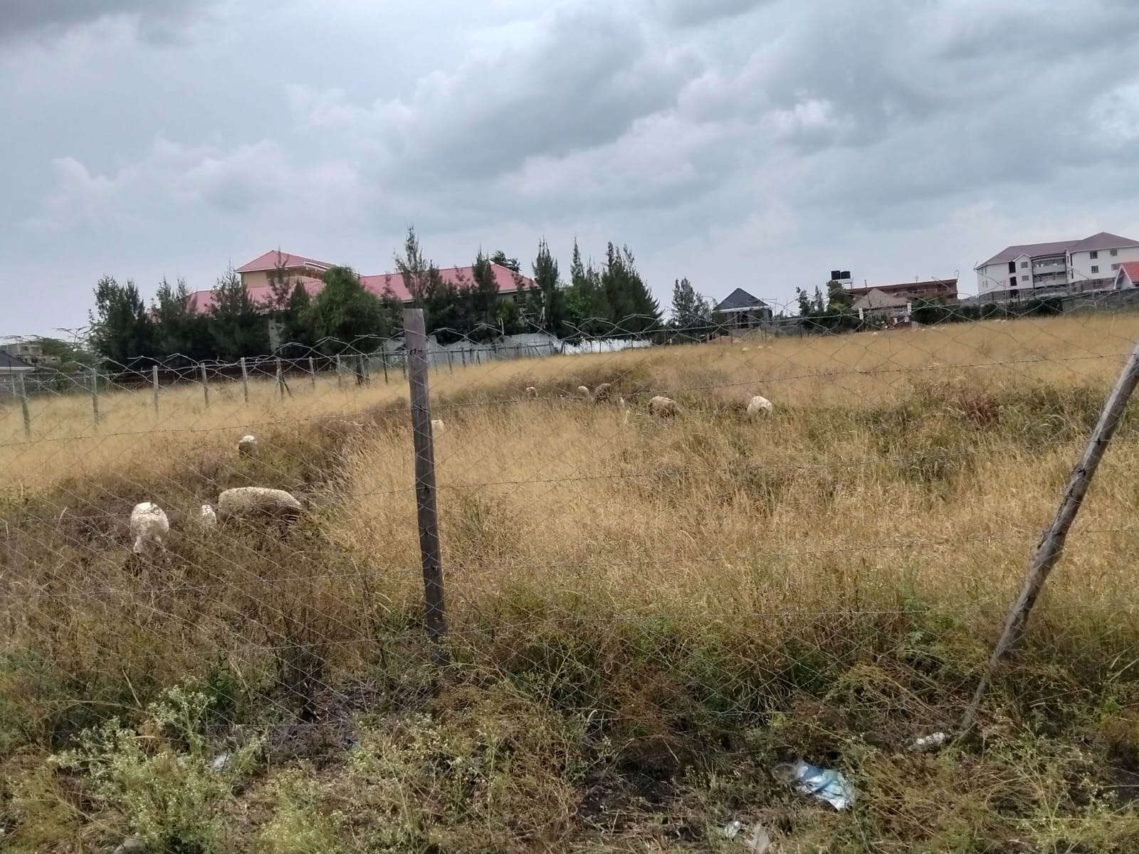 100-acre development land for sale in Kitengela Acacia suitable for residential, commercial, or institutional projects.