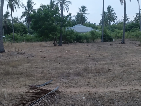 1-acre flat land for sale in Dabaso Watamu with coconut trees near creek view, ideal for residential or hospitality development.