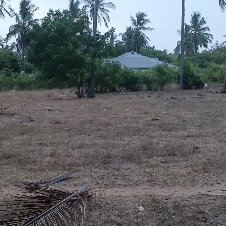 1-acre flat land for sale in Dabaso Watamu with coconut trees near creek view, ideal for residential or hospitality development.