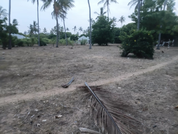 1-acre flat land for sale in Dabaso Watamu with coconut trees near creek view, ideal for residential or hospitality development.