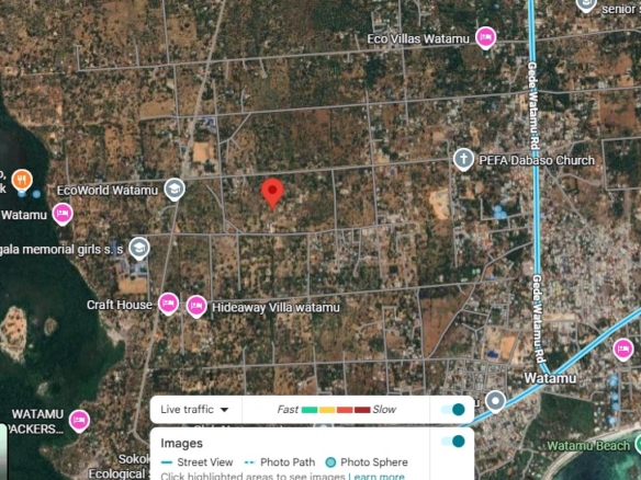 1-acre flat land for sale in Dabaso Watamu with coconut trees near creek view, ideal for residential or hospitality development.