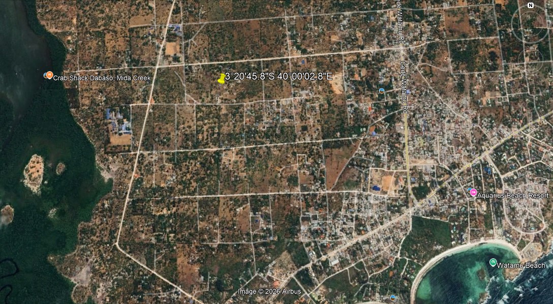 1-acre flat land for sale in Dabaso Watamu with coconut trees near creek view, ideal for residential or hospitality development.