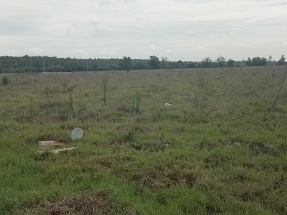 Prime 10-acre land for sale in Karen Plains with Southern Bypass frontage, perimeter wall, and ready documents. Ideal for luxury development or investment.