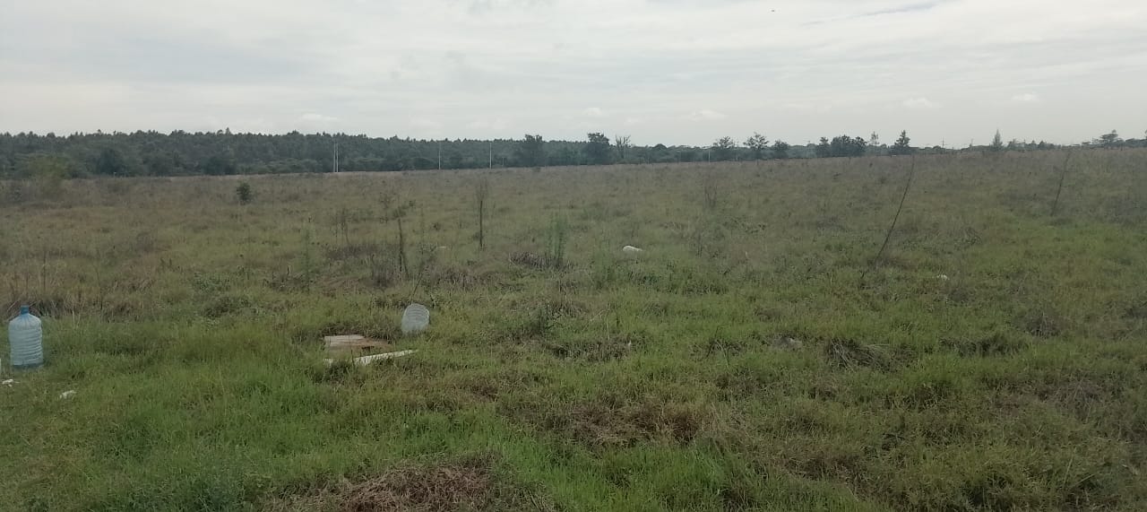 Prime 10-acre land for sale in Karen Plains with Southern Bypass frontage, perimeter wall, and ready documents. Ideal for luxury development or investment.