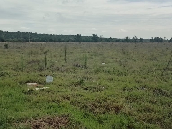 Prime 10-acre land for sale in Karen Plains with Southern Bypass frontage, perimeter wall, and ready documents. Ideal for luxury development or investment.