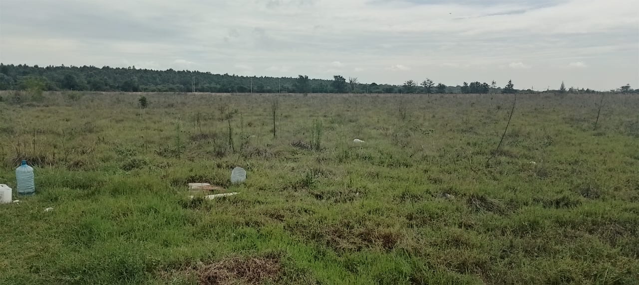 Prime 10-acre land for sale in Karen Plains with Southern Bypass frontage, perimeter wall, and ready documents. Ideal for luxury development or investment.