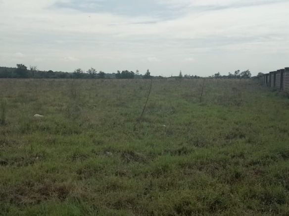 Prime 10-acre land for sale in Karen Plains with Southern Bypass frontage, perimeter wall, and ready documents. Ideal for luxury development or investment.