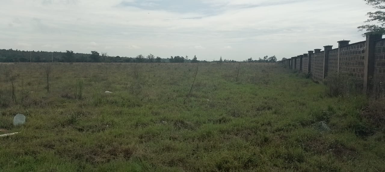 Prime 10-acre land for sale in Karen Plains with Southern Bypass frontage, perimeter wall, and ready documents. Ideal for luxury development or investment.