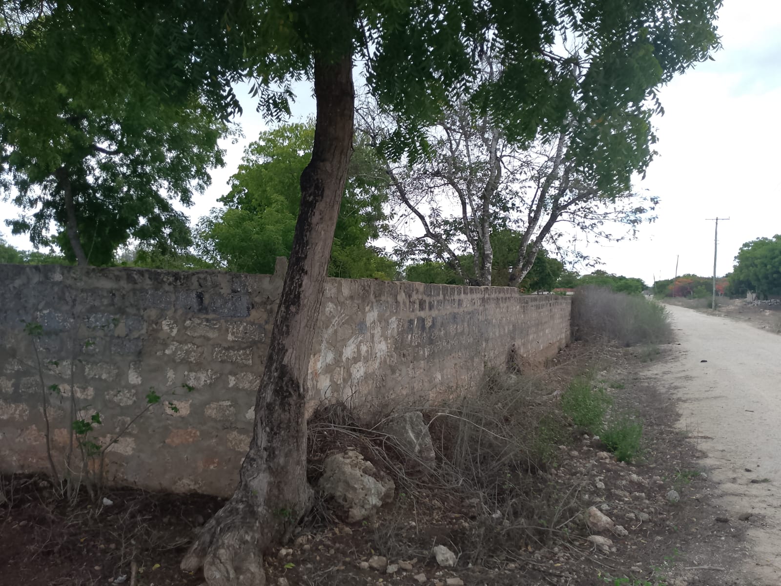 3 acres ocean-view land for sale along Bofa Road near Ngala Beach, featuring road frontage, subdivision potential, and a secure upscale neighborhood.