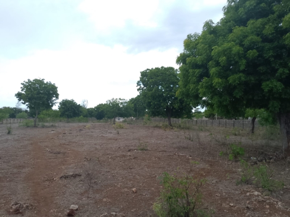 3 acres ocean-view land for sale along Bofa Road near Ngala Beach, featuring road frontage, subdivision potential, and a secure upscale neighborhood.