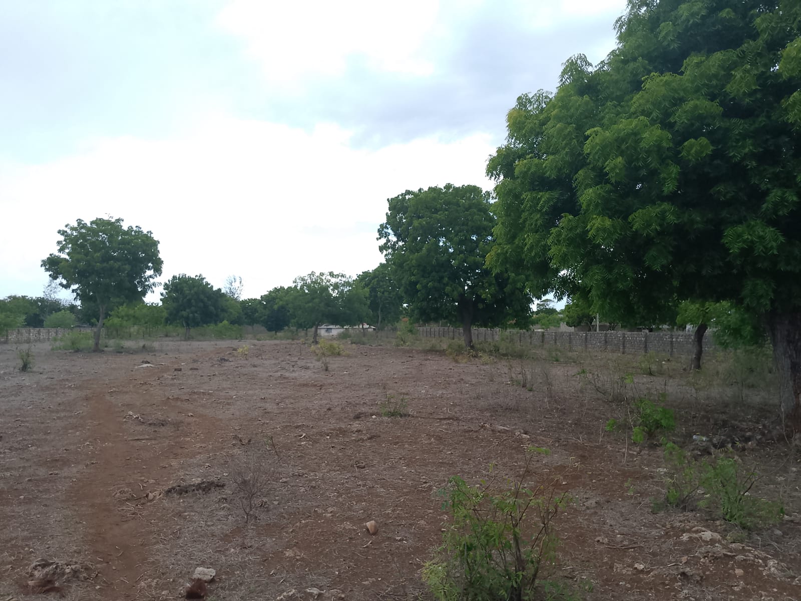 3 acres ocean-view land for sale along Bofa Road near Ngala Beach, featuring road frontage, subdivision potential, and a secure upscale neighborhood.