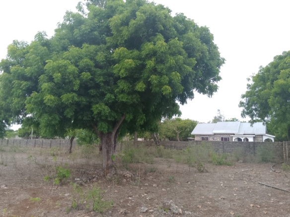 3 acres ocean-view land for sale along Bofa Road near Ngala Beach, featuring road frontage, subdivision potential, and a secure upscale neighborhood.