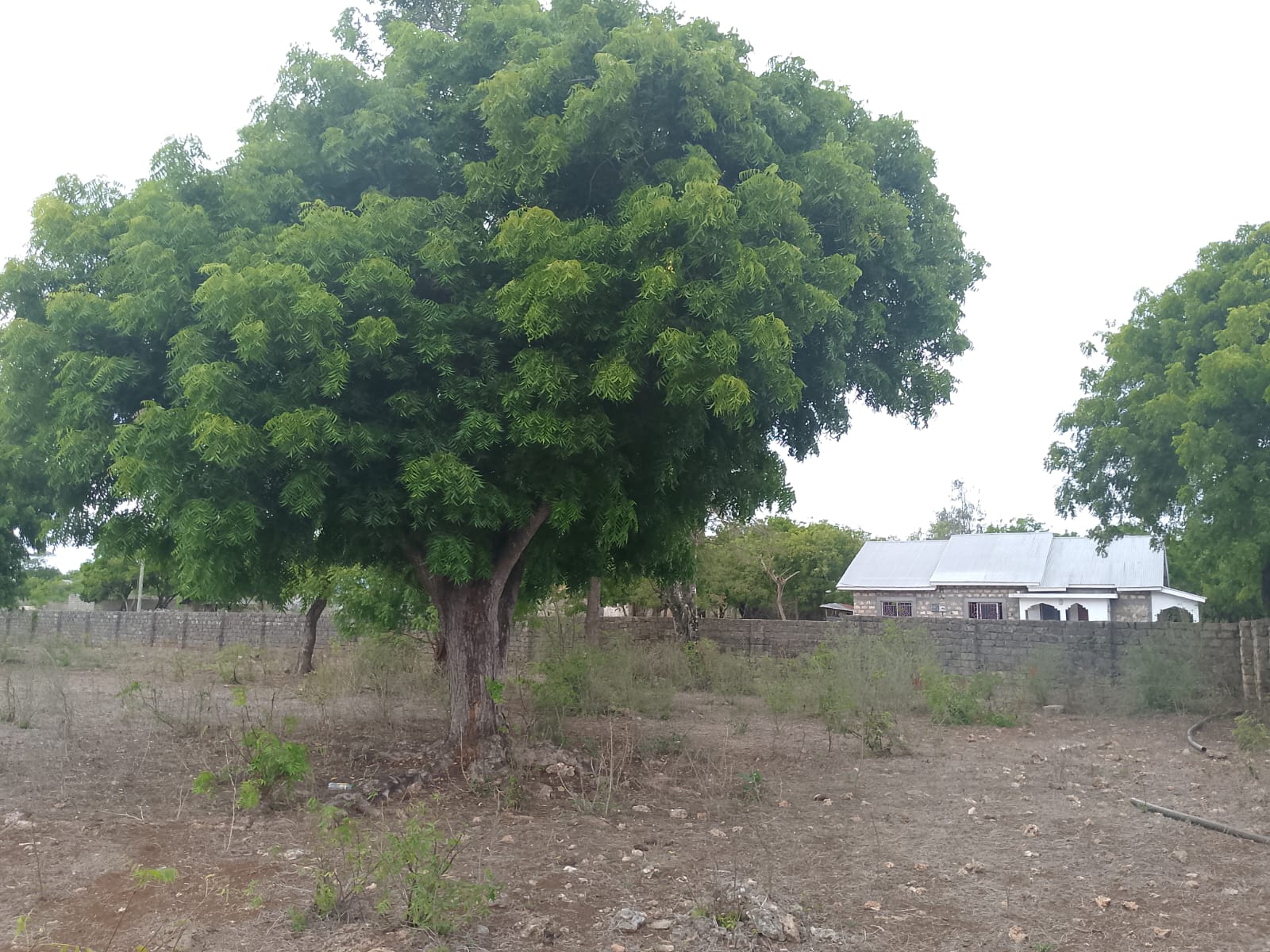 3 acres ocean-view land for sale along Bofa Road near Ngala Beach, featuring road frontage, subdivision potential, and a secure upscale neighborhood.