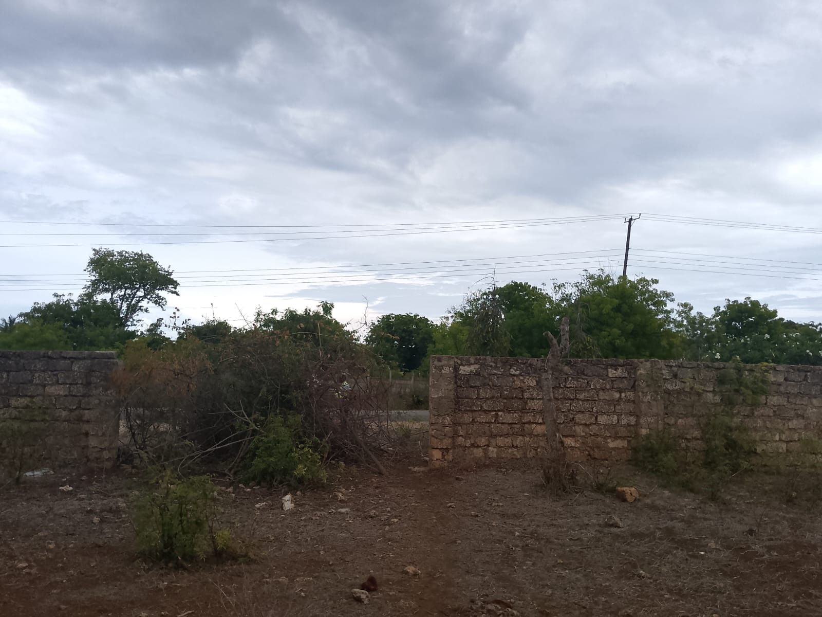 3 acres ocean-view land for sale along Bofa Road near Ngala Beach, featuring road frontage, subdivision potential, and a secure upscale neighborhood.