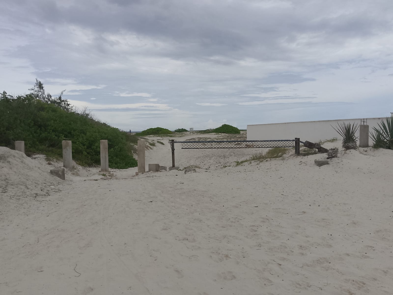 3 acres ocean-view land for sale along Bofa Road near Ngala Beach, featuring road frontage, subdivision potential, and a secure upscale neighborhood.