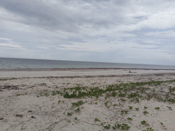 3 acres ocean-view land for sale along Bofa Road near Ngala Beach, featuring road frontage, subdivision potential, and a secure upscale neighborhood.