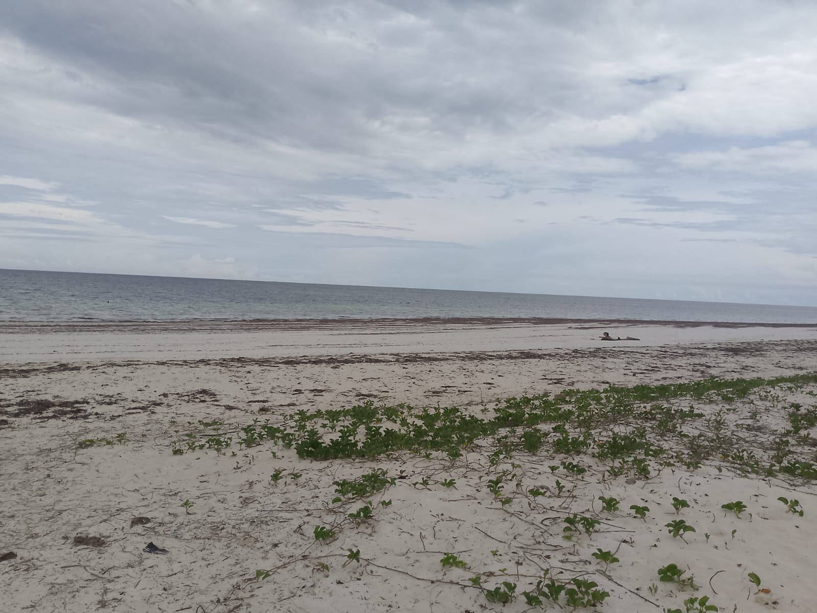 3 acres ocean-view land for sale along Bofa Road near Ngala Beach, featuring road frontage, subdivision potential, and a secure upscale neighborhood.