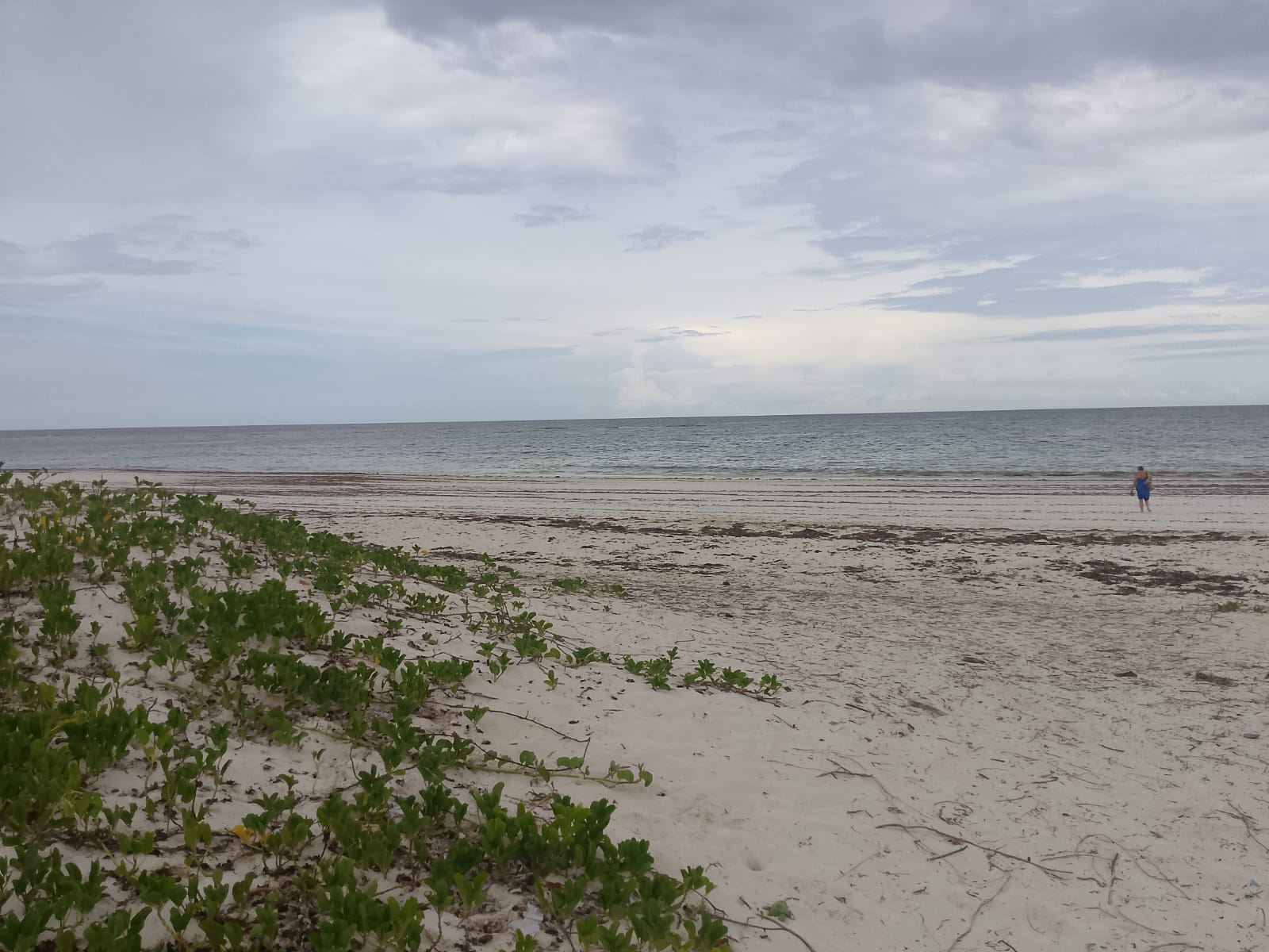 3 acres ocean-view land for sale along Bofa Road near Ngala Beach, featuring road frontage, subdivision potential, and a secure upscale neighborhood.