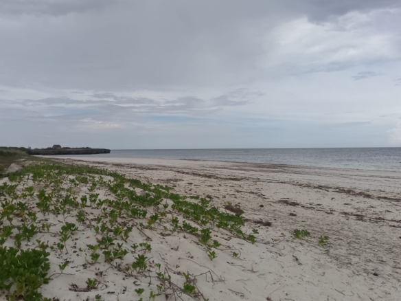 3 acres ocean-view land for sale along Bofa Road near Ngala Beach, featuring road frontage, subdivision potential, and a secure upscale neighborhood.