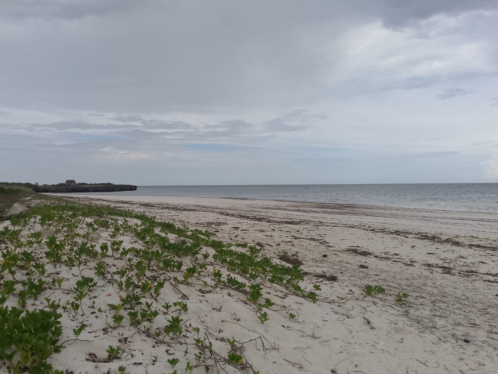 3 acres ocean-view land for sale along Bofa Road near Ngala Beach, featuring road frontage, subdivision potential, and a secure upscale neighborhood.