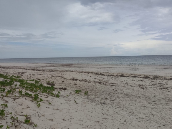 3 acres ocean-view land for sale along Bofa Road near Ngala Beach, featuring road frontage, subdivision potential, and a secure upscale neighborhood.