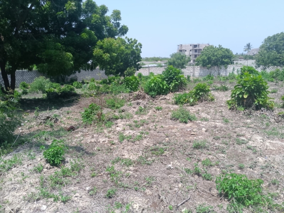Prime 1-acre land for sale in Watamu near Pitch and Putt Golf, walled on three sides with easy access to Jacaranda Road and amenities.
