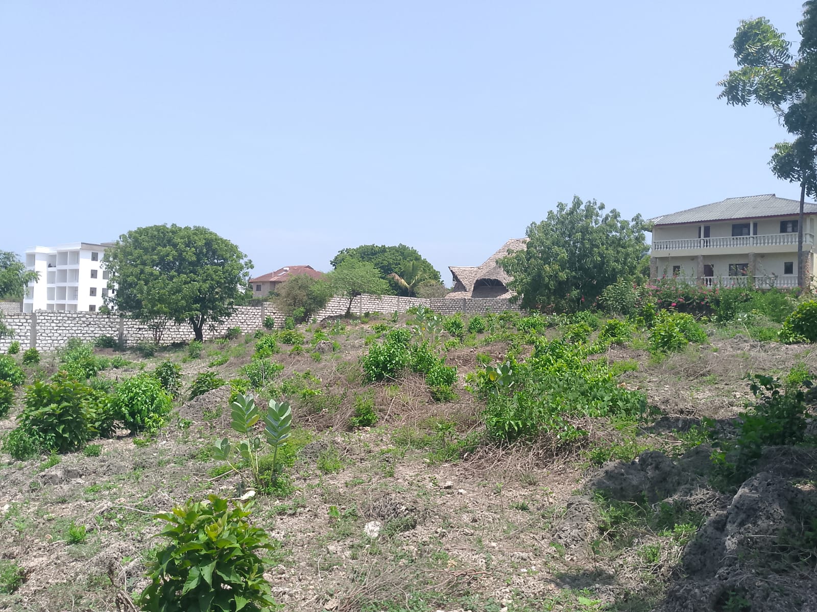 Prime 1-acre land for sale in Watamu near Pitch and Putt Golf, walled on three sides with easy access to Jacaranda Road and amenities.