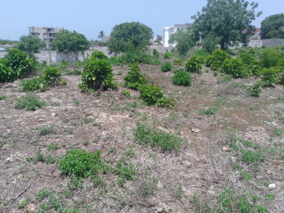 Prime 1-acre land for sale in Watamu near Pitch and Putt Golf, walled on three sides with easy access to Jacaranda Road and amenities.