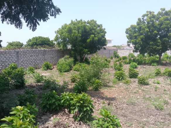 Prime 1-acre land for sale in Watamu near Pitch and Putt Golf, walled on three sides with easy access to Jacaranda Road and amenities.