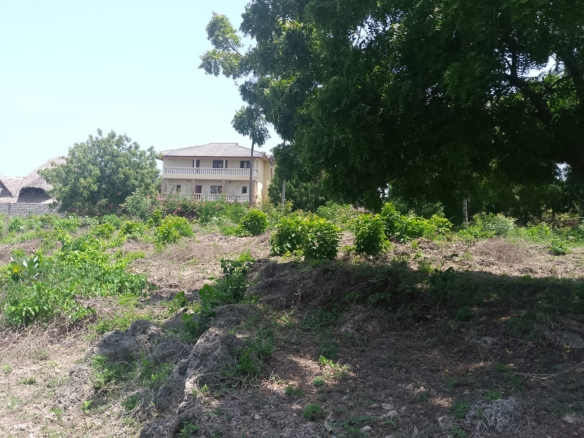 Prime 1-acre land for sale in Watamu near Pitch and Putt Golf, walled on three sides with easy access to Jacaranda Road and amenities.