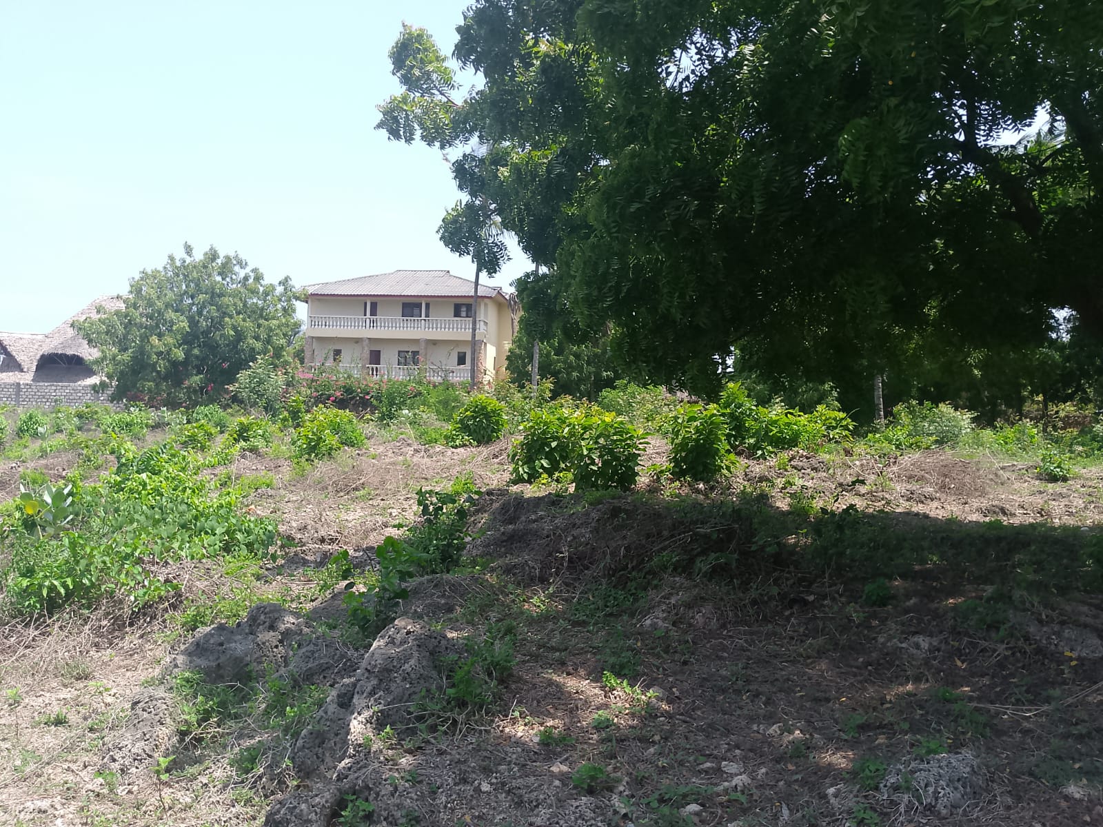 Prime 1-acre land for sale in Watamu near Pitch and Putt Golf, walled on three sides with easy access to Jacaranda Road and amenities.