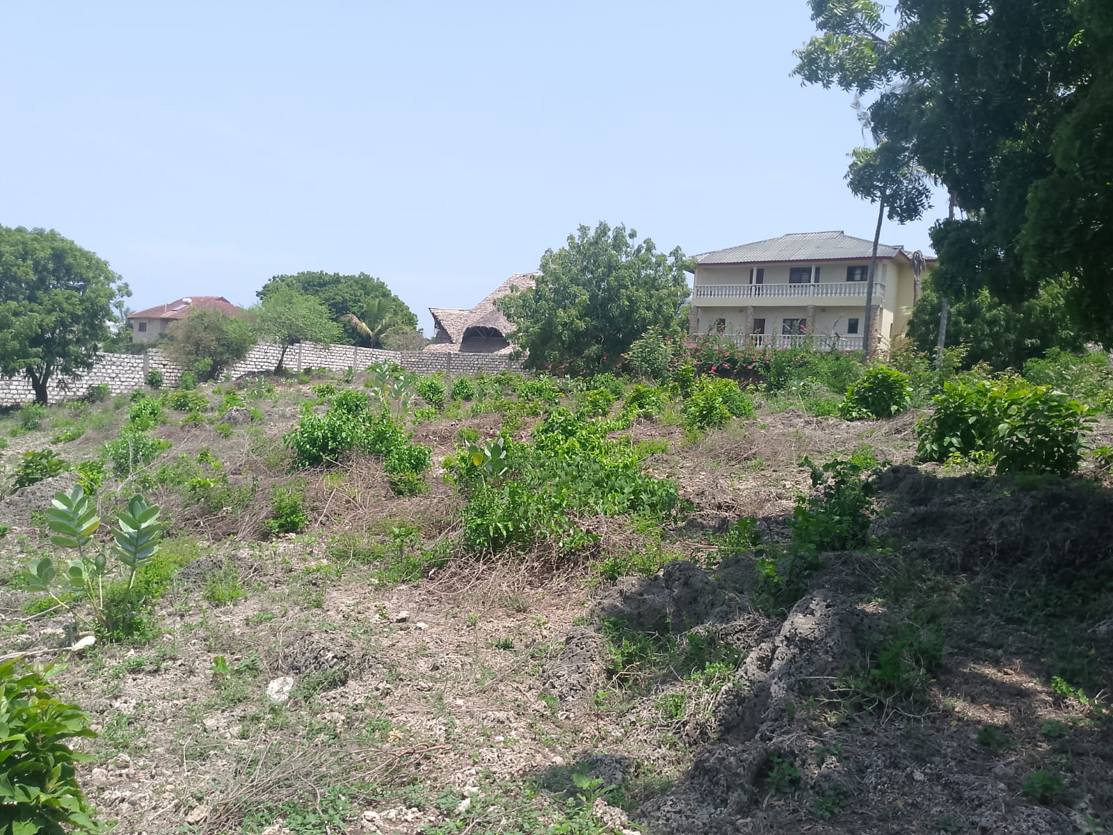 Prime 1-acre land for sale in Watamu near Pitch and Putt Golf, walled on three sides with easy access to Jacaranda Road and amenities.
