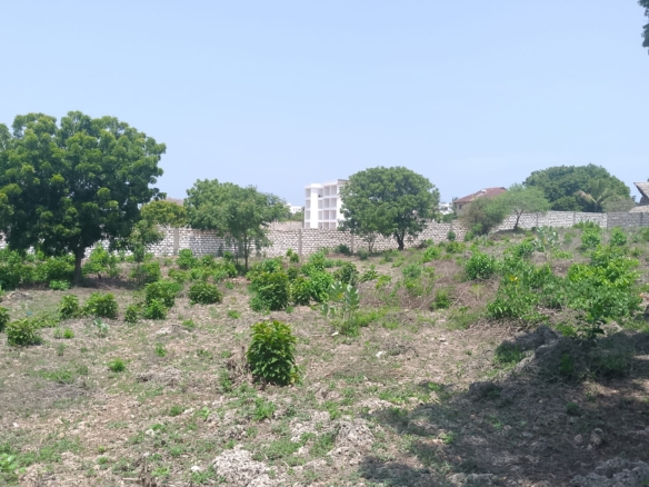 Prime 1-acre land for sale in Watamu near Pitch and Putt Golf, walled on three sides with easy access to Jacaranda Road and amenities.