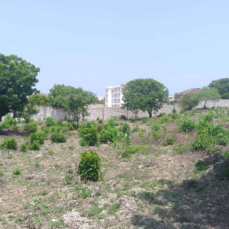 Prime 1-acre land for sale in Watamu near Pitch and Putt Golf, walled on three sides with easy access to Jacaranda Road and amenities.