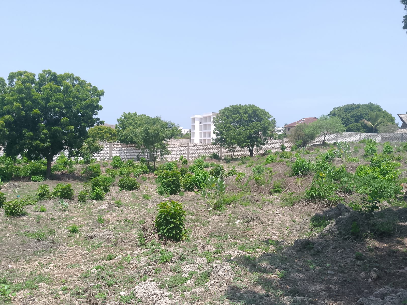 Prime 1-acre land for sale in Watamu near Pitch and Putt Golf, walled on three sides with easy access to Jacaranda Road and amenities.