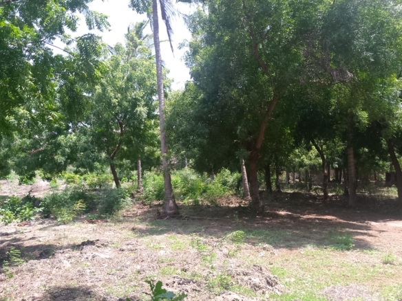 Prime 1-acre land for sale in Watamu near Pitch and Putt Golf, walled on three sides with easy access to Jacaranda Road and amenities.