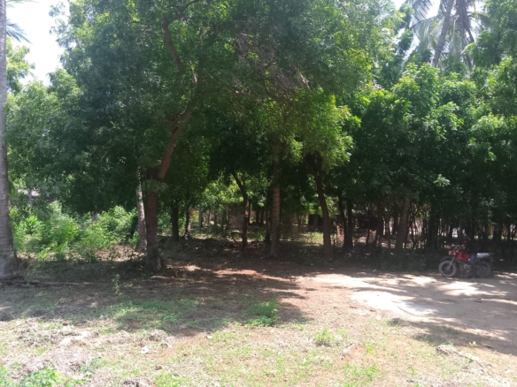 Prime 1-acre land for sale in Watamu near Pitch and Putt Golf, walled on three sides with easy access to Jacaranda Road and amenities.