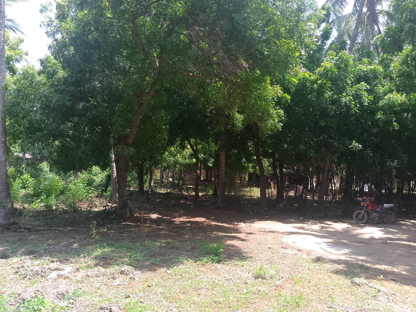 Prime 1-acre land for sale in Watamu near Pitch and Putt Golf, walled on three sides with easy access to Jacaranda Road and amenities.